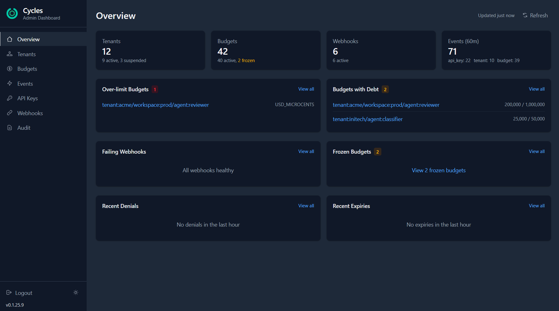 Overview showing budget alerts, debt scopes, and event activity across all tenants